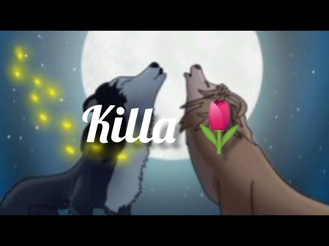 Видео: Альфа и Омега (Клип,песня:  Killa)