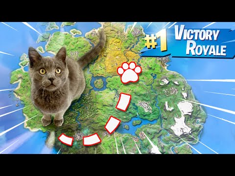 Видео: Ползвам Котка, за да Спечеля във Fortnite!