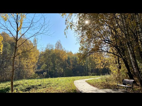 Видео: Как выйти из депрессивного состояния?