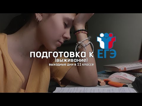 Видео: Study with me: система подготовки//подготовка к общ, ист, матем//выходные в 11 классе🥲