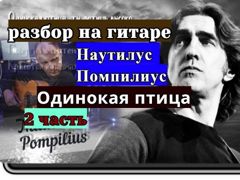 Видео: ОДИНОКАЯ ПТИЦА.Наутилус Помпилиус.Куплет.Проигрыш.Урок 2 #урокигитары  #разборпесен #гитара #guitar