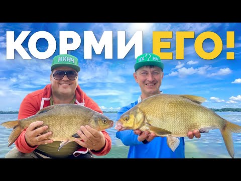 Видео: КРУПНЫЕ ЛЕЩИ ⚠️ КОРМИ И ПОЙМАЕШЬ ‼️ ЛЕЩ В ЗАБРОС 💥 Рыбалка на Днепре! Речной фидер!