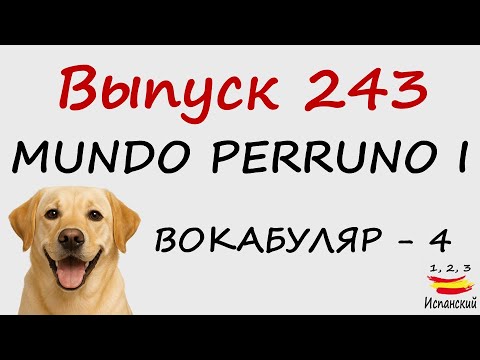 Видео: 243. Mundo perruno I - Вокабуляр - 4