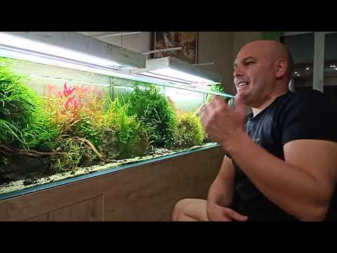 Видео: Съвети за начинаещи акваристи- Вода и Торове - част 2