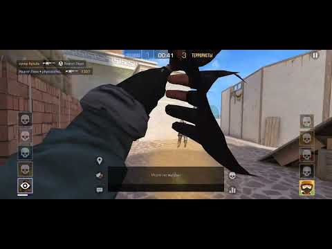 Видео: 13 ноября 2025 г.