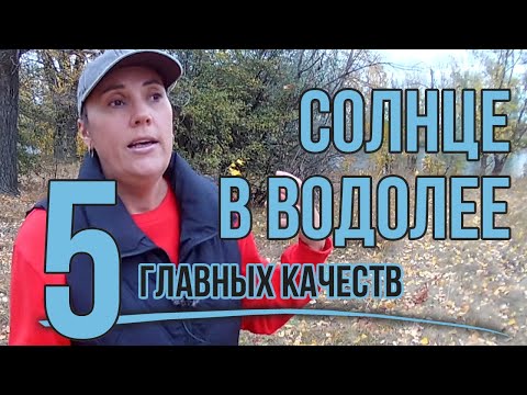 Видео: Солнце в Водолее: инструмент саморазвития