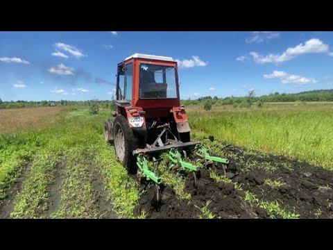 Видео: Сезон польових робіт в розпалі, трактор Т25 на розхват🔥🔥