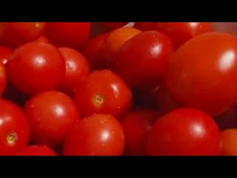 Видео: НАЙКРАЩІ ВИСОКОРОСЛІ ПОМІДОРИ, які я вирощую