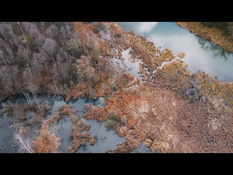 Видео: Минск и окрестности с дрона Dji Mavic Air2 | Осень | Relax