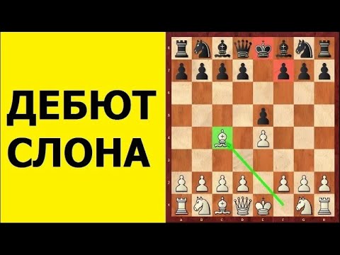 Видео: Шахматы для начинающих. ДЕБЮТ СЛОНА. Школа шахмат d4-d5.