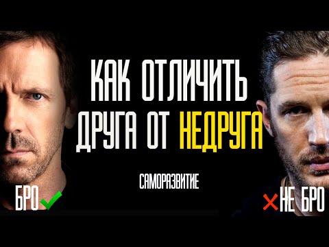 Видео: Кто друг, а кто недруг? САМОРАЗВИТИЕ