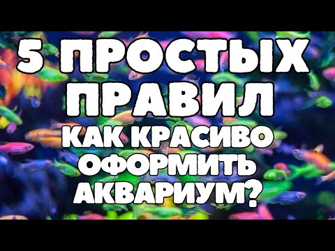 Видео: Как красиво оформить аквариум? Как оформить аквариум? 5 простых правил оформления аквариума!