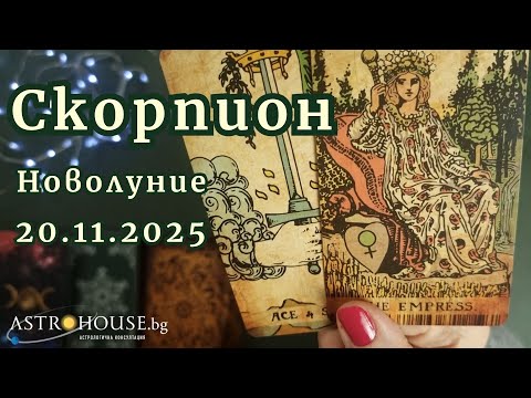 Видео: 🔮Скорпион ✨Таро✨Новолуние в Скорпион 20 ноември 2025✨