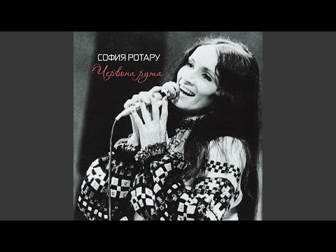 Видео: Червона рута