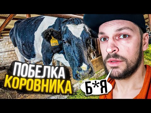 Видео: Мы были в ШОКЕ! Идеальная ПОБЕЛКА КОРОВНИКА за 2 дня? Зачистка / Покраска потолка