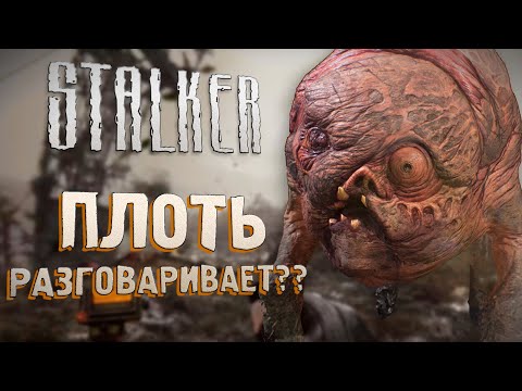 Видео: [S.T.A.L.K.E.R.] ОБЗОР НА ПЛОТЬ