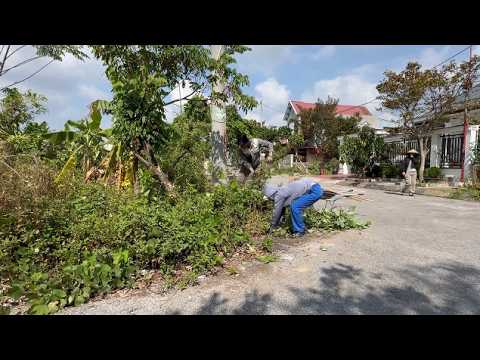 Видео: Очистите заросшие тротуары — Потрясающее преображение