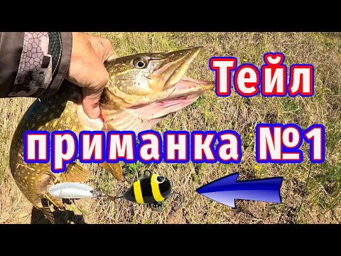 Видео: Сумасшедшая РЫБАЛКА с Берега Весной! Тут щука не видела Тейл-спиннера!