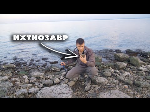 Видео: Собираю СКЕЛЕТ ИХТИОЗАВРА и ищу КРУПНЫЕ АММОНИТЫ | Продолжение поисков костей древних рептилий