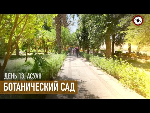 Видео: День 13. Ботанический сад. г.Асуан (Египет 2021)