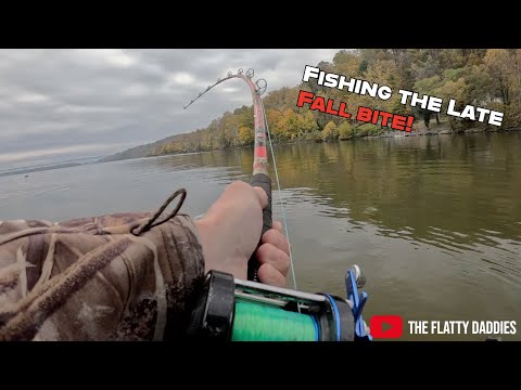 Видео: Ловля сома поздней осенью