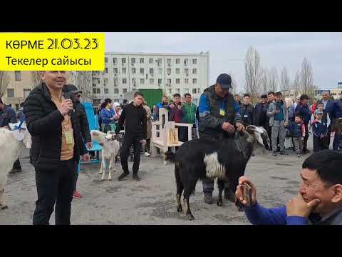 Видео: 2-Бөлім ТЕКЕ САЙЫС 21.03.23 АСЫЛ ТҰҚЫМДЫ ТЕКЕЛЕР САЙЫСЫНЫҢ ЖЕҢІМПАЗЫ. Ешкі көрмесі Выставка коз