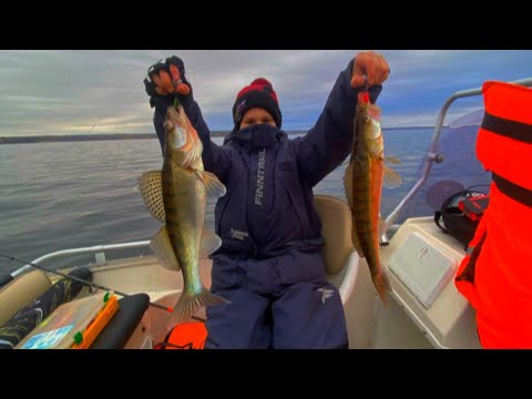 Видео: РЫБАЛКА НА ВОЛГОГРАДСКОМ ВОДОХРАНИЛИЩЕ!!! 2025 ЖОР СУДАКА