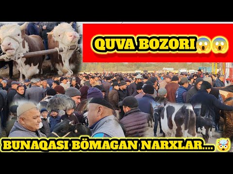 Видео: QUVA BOZORI BUGUN AVJIDA😱🤯2 ноября 2025 г.