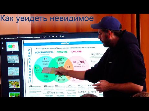 Видео: Лекция: Секреты воды. Андрей Тихонов. Экзоменю