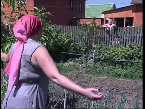 Видео: Лилия Мингулова    куршелэр