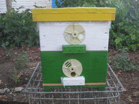 Видео: Как вывести свищевую матку ?