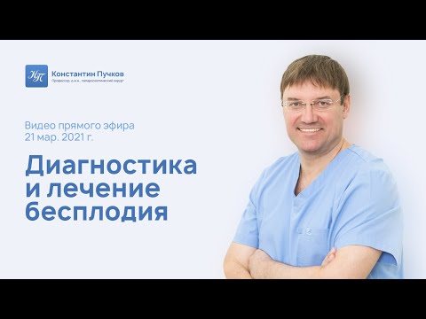 Видео: Диагностика и лечение бесплодия. Прямой эфир профессора Пучкова К.В.