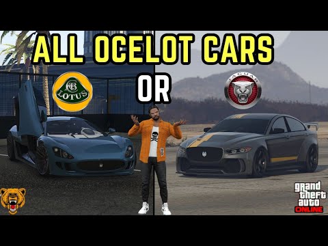 Видео: ВСЕ ОЦЕЛОТЫ — ЭТО ДЖУГУАР ИЛИ ЛОТУС В GTA 5 ОНЛАЙН?