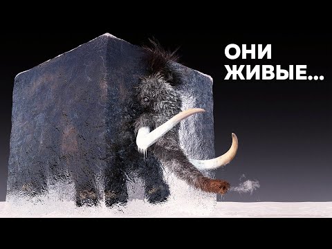 Видео: Вся ПРАВДА о создании Клона ШЕРСТИСТОГО МАМОНТА