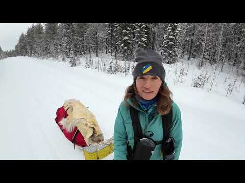 Видео: АРКТИКА. ЗА ПОЛЯРНИМ КОЛОМ. Ночівля в полярній хатинці