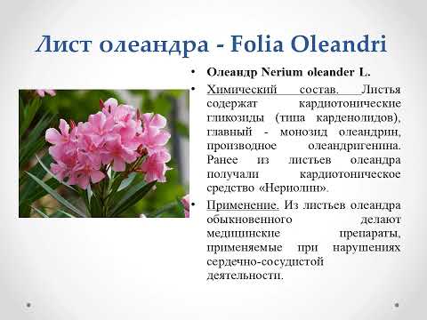 Видео: лекарственное растительное сырье,  сердечные гликозиды Лекарственные растения
