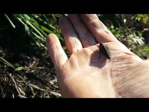Видео: НЕОБЫЧНЫЕ СТРЕЛЫ С КРУТОГО СКЛОНА