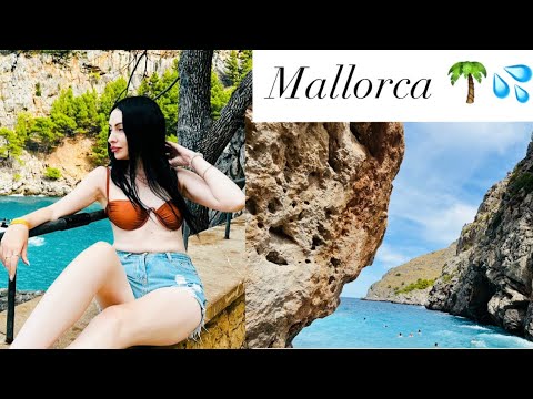 Видео: Часть 2 ☀️Экскурсия по Mallorca 🌴🌊/Крутой Серпантин 🚌 /Цена на Паэлья 🍛/Бухта с Лазурной Водой💦