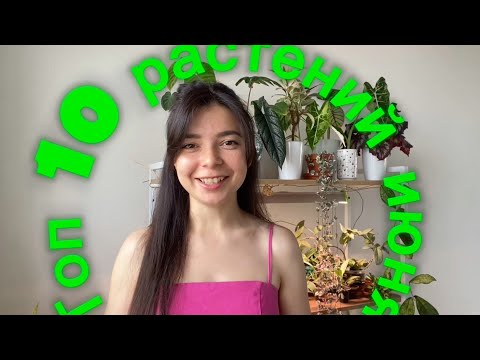 Видео: ТОП-10 РАСТЕНИЙ, которые радуют меня в июне
