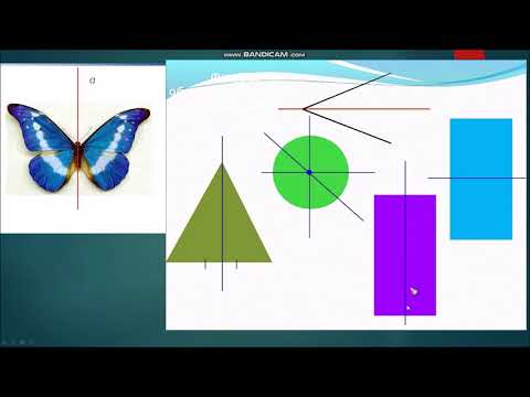 Видео: Симметрия относительно прямой