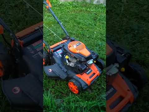 Видео: Бензокосилка Paltriot pt52
