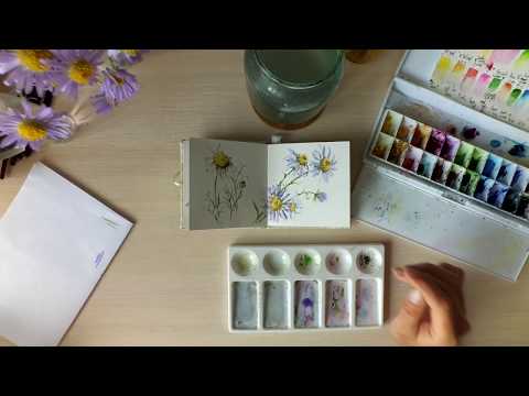 Видео: Мастер-класс #43 Фиолетовые ромашки акварелью