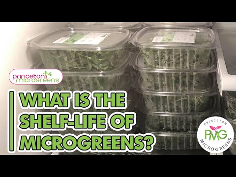 Видео: Каков срок годности микрозелени?