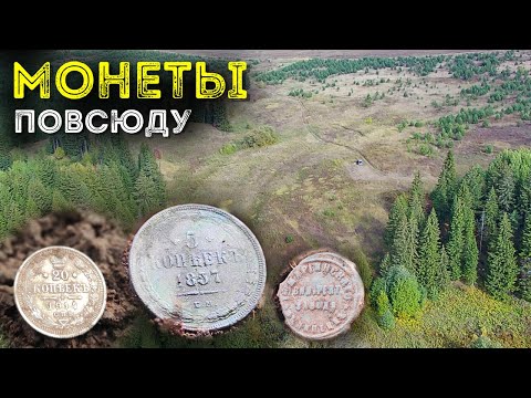 Видео: Царские монеты повсюду Семейный коп монет