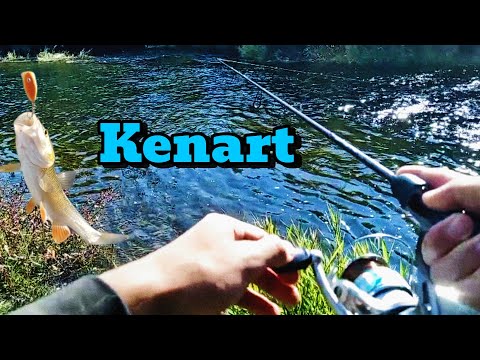 Видео: ВОБЛЕРА ГИ СЪСИПА. 