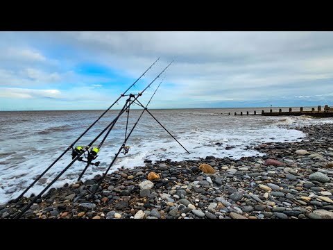 Видео: Треска уже здесь? Рыбалка на побережье Холдернесса.