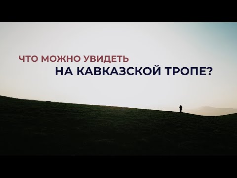 Видео: Что такое Кавказская тропа