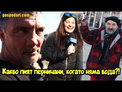 Видео: ПОПОЛИНА ВОКС ПИТА ПЕРНИЧАНИ КАК СЕ СПРАВЯТ С ВОДНИЯ РЕЖИМ
