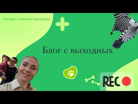 Видео: Блог с семьей/ зоопарк/ куда сходить в Нижнем Новгороде Новгород 