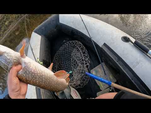 Видео: ТРЯСЕНИЕ - особый способ ловли щук на джиг поздней осенью. 